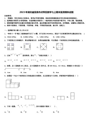 2023年湖北省宜昌市点军区数学七上期末监测模拟试题含解析.doc