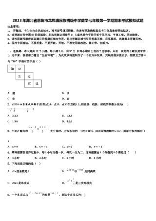 2023年湖北省恩施市龙凤镇民族初级中学数学七年级第一学期期末考试模拟试题含解析.doc