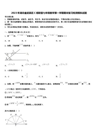 2023年湖北省武昌区C组联盟七年级数学第一学期期末复习检测模拟试题含解析.doc