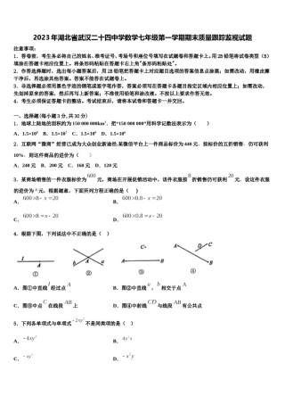 2023年湖北省武汉二十四中学数学七年级第一学期期末质量跟踪监视试题含解析.doc