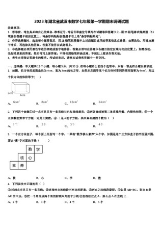 2023年湖北省武汉市数学七年级第一学期期末调研试题含解析.doc