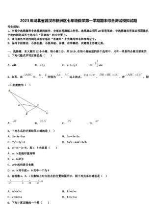2023年湖北省武汉市新洲区七年级数学第一学期期末综合测试模拟试题含解析.doc