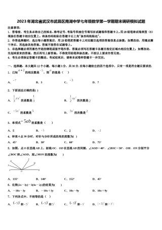 2023年湖北省武汉市武昌区南湖中学七年级数学第一学期期末调研模拟试题含解析.doc