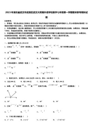 2023年湖北省武汉市武昌区武汉大附属外语学校数学七年级第一学期期末联考模拟试题含解析.doc