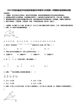 2023年湖北省武汉市武昌区粮道街中学数学七年级第一学期期末监测模拟试题含解析.doc
