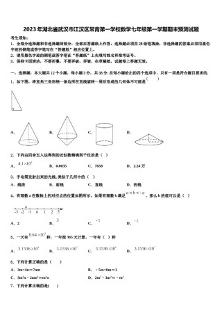 2023年湖北省武汉市江汉区常青第一学校数学七年级第一学期期末预测试题含解析.doc