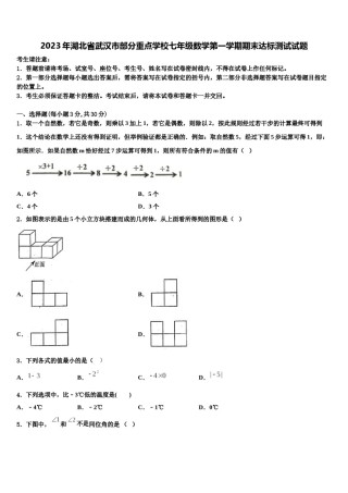 2023年湖北省武汉市部分重点学校七年级数学第一学期期末达标测试试题含解析.doc