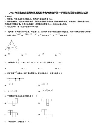 2023年湖北省武汉蔡甸区五校联考七年级数学第一学期期末质量检测模拟试题含解析.doc