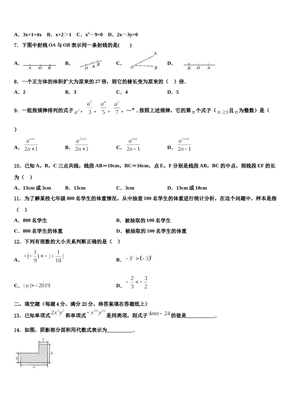2023年湖北省舞阳中学七年级数学第一学期期末复习检测模拟试题含解析.doc_第2页