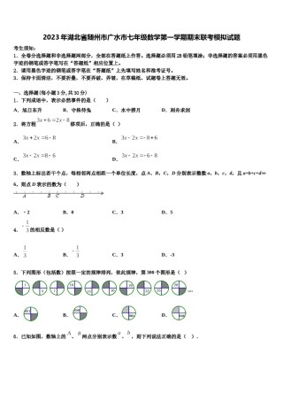 2023年湖北省随州市广水市七年级数学第一学期期末联考模拟试题含解析.doc