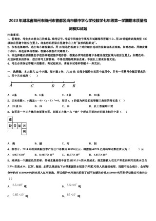 2023年湖北省随州市随州市曾都区尚市镇中学心学校数学七年级第一学期期末质量检测模拟试题含解析.doc