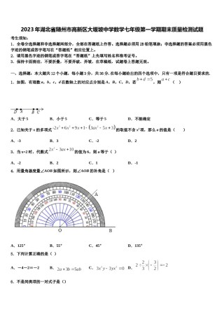 2023年湖北省随州市高新区大堰坡中学数学七年级第一学期期末质量检测试题含解析.doc
