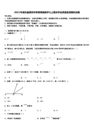 2023年湖北省黄冈市季黄梅县数学七上期末学业质量监测模拟试题含解析.doc