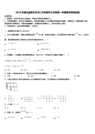 2023年湖北省黄石市汪仁中学数学七年级第一学期期末预测试题含解析.doc