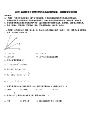2023年湖南省张家界市慈利县七年级数学第一学期期末检测试题含解析.doc