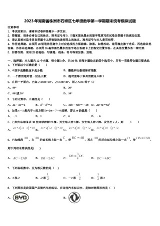 2023年湖南省株洲市石峰区七年级数学第一学期期末统考模拟试题含解析.doc
