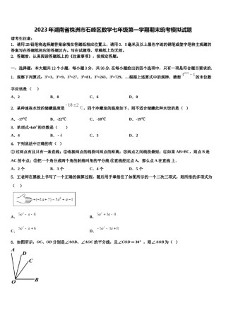 2023年湖南省株洲市石峰区数学七年级第一学期期末统考模拟试题含解析.doc