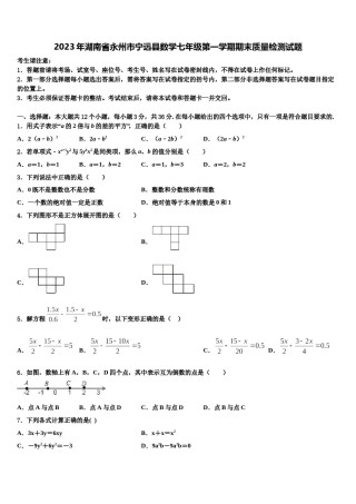 2023年湖南省永州市宁远县数学七年级第一学期期末质量检测试题含解析.doc