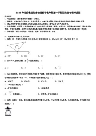 2023年湖南省益阳市普通数学七年级第一学期期末统考模拟试题含解析.doc