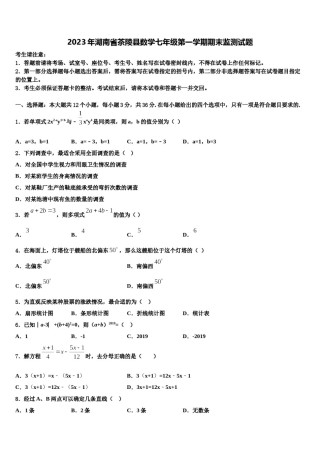 2023年湖南省茶陵县数学七年级第一学期期末监测试题含解析.doc