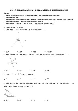 2023年湖南省部分地区数学七年级第一学期期末质量跟踪监视模拟试题含解析.doc
