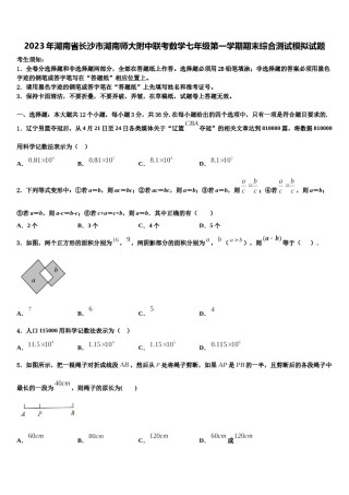 2023年湖南省长沙市湖南师大附中联考数学七年级第一学期期末综合测试模拟试题含解析.doc