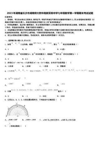 2023年湖南省长沙市湖南师大附中高新实验中学七年级数学第一学期期末考试试题含解析.doc