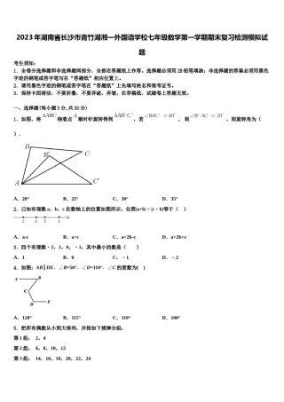 2023年湖南省长沙市青竹湖湘一外国语学校七年级数学第一学期期末复习检测模拟试题含解析.doc