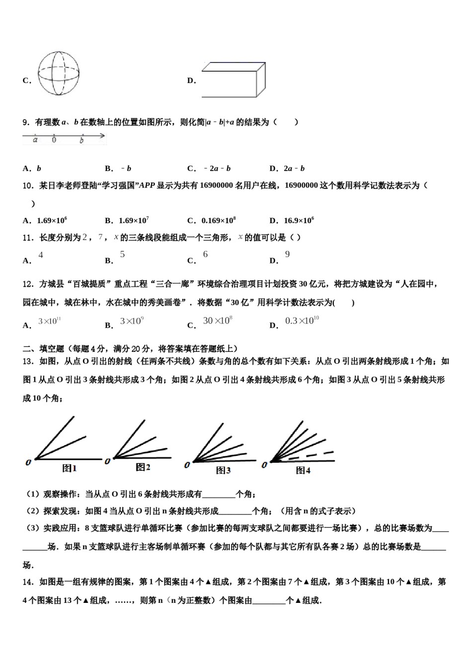 2023年湖南省长沙青雅丽发中学七年级数学第一学期期末质量跟踪监视试题含解析.doc_第2页
