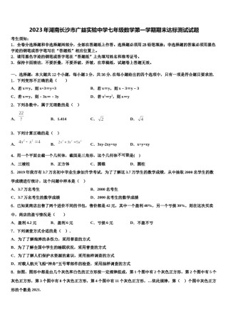 2023年湖南长沙市广益实验中学七年级数学第一学期期末达标测试试题含解析.doc