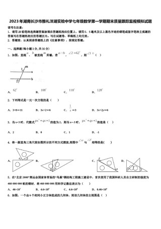 2023年湖南长沙市雅礼洋湖实验中学七年级数学第一学期期末质量跟踪监视模拟试题含解析.doc