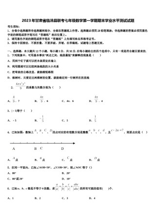 2023年甘肃省临洮县联考七年级数学第一学期期末学业水平测试试题含解析.doc