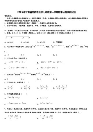 2023年甘肃省定西市数学七年级第一学期期末检测模拟试题含解析.doc