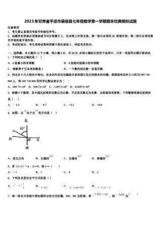 2023年甘肃省平凉市崇信县七年级数学第一学期期末经典模拟试题含解析.doc