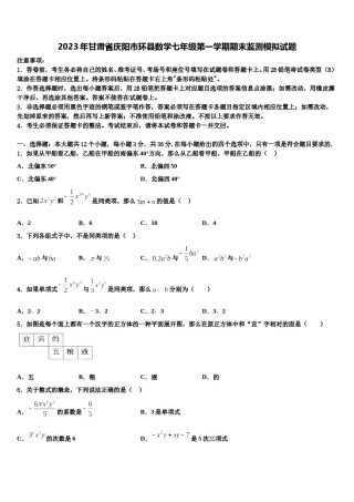 2023年甘肃省庆阳市环县数学七年级第一学期期末监测模拟试题含解析.doc