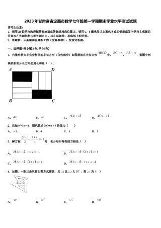 2023年甘肃省省定西市数学七年级第一学期期末学业水平测试试题含解析.doc