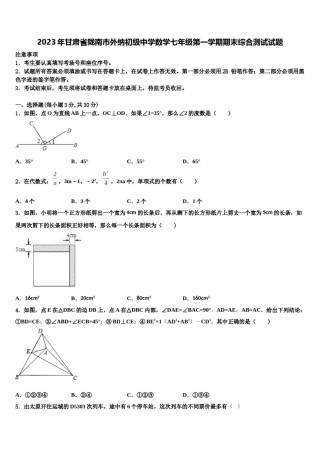 2023年甘肃省陇南市外纳初级中学数学七年级第一学期期末综合测试试题含解析.doc