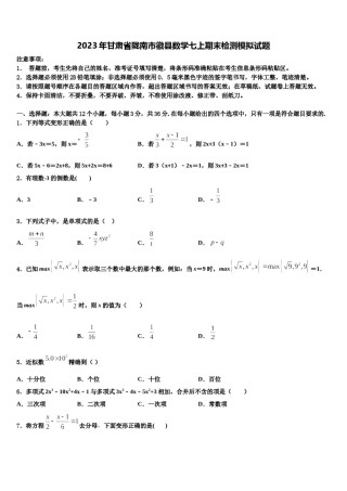 2023年甘肃省陇南市徽县数学七上期末检测模拟试题含解析.doc