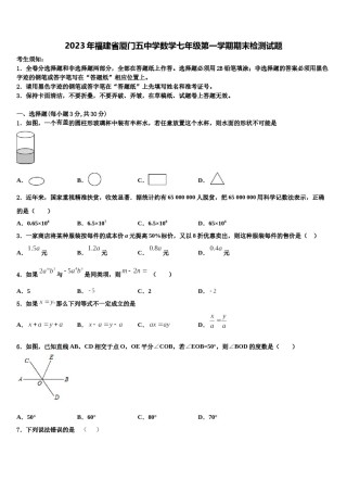2023年福建省厦门五中学数学七年级第一学期期末检测试题含解析.doc