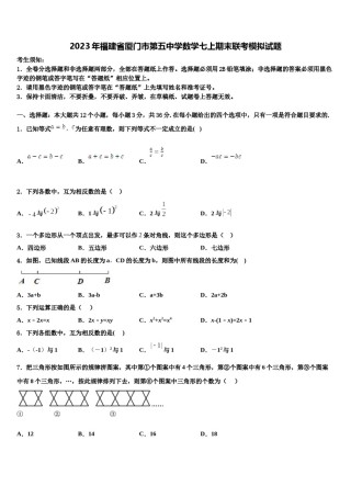 2023年福建省厦门市第五中学数学七上期末联考模拟试题含解析.doc