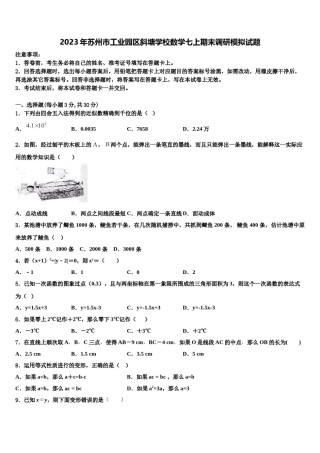 2023年苏州市工业园区斜塘学校数学七上期末调研模拟试题含解析.doc
