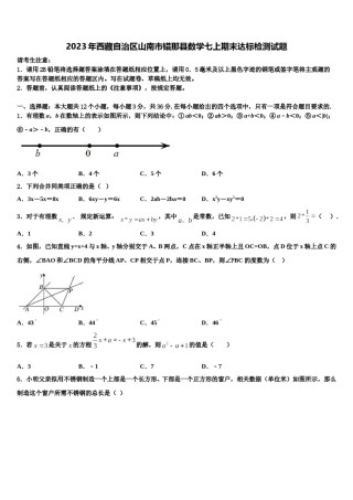 2023年西藏自治区山南市错那县数学七上期末达标检测试题含解析.doc
