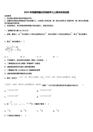 2023年西藏西藏达孜县数学七上期末检测试题含解析.doc