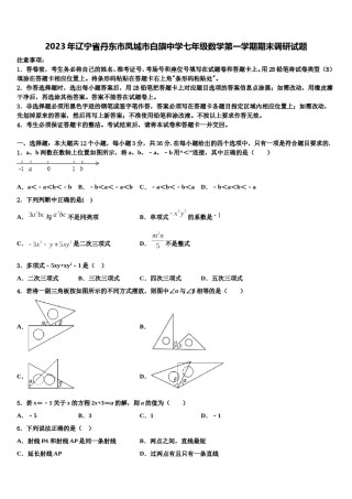 2023年辽宁省丹东市凤城市白旗中学七年级数学第一学期期末调研试题含解析.doc