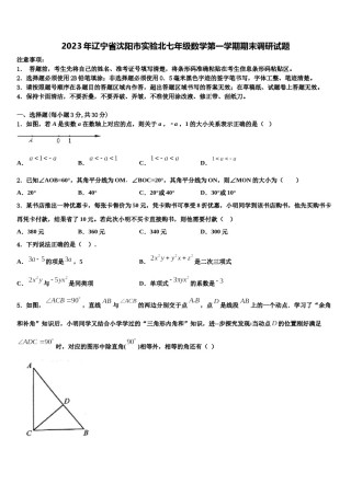 2023年辽宁省沈阳市实验北七年级数学第一学期期末调研试题含解析.doc
