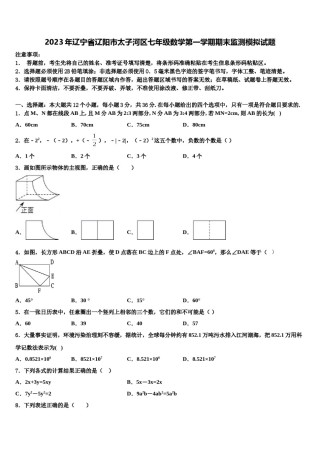 2023年辽宁省辽阳市太子河区七年级数学第一学期期末监测模拟试题含解析.doc