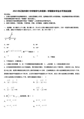 2023年辽阳市第十中学数学七年级第一学期期末学业水平测试试题含解析.doc