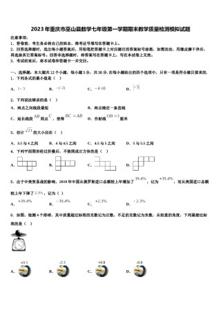 2023年重庆市巫山县数学七年级第一学期期末教学质量检测模拟试题含解析.doc