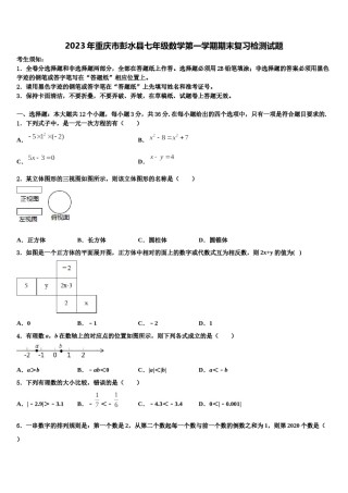 2023年重庆市彭水县七年级数学第一学期期末复习检测试题含解析.doc