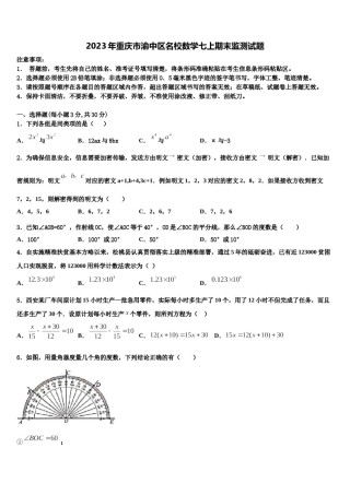 2023年重庆市渝中区名校数学七上期末监测试题含解析.doc